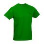 Мъжка спортна тениска HI-TEC Fenix, Зелен