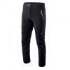 Мъжки панталон ELBRUS Leland, Черен/Зелен